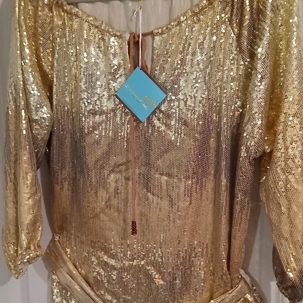 Letarte Dress sequin